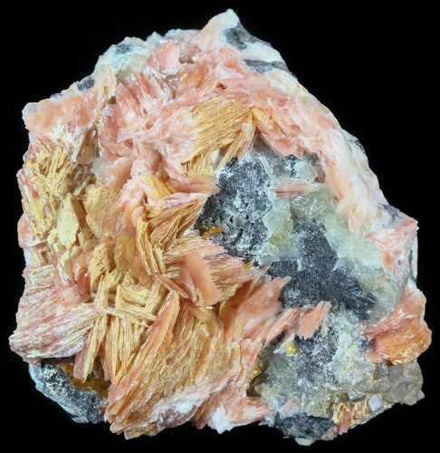 Cerussite with Orange Bladed Barite on Galena Matrix - Morocco #51397